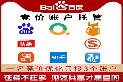 SEM代理助力品牌：案例解析与优化策略